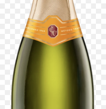 Campo Viejo Brut Riserva CAVA