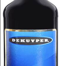 Dekuyper Blueberry Schn 1L