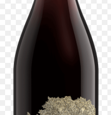 Dreaming Tree Pinot Noir750ml