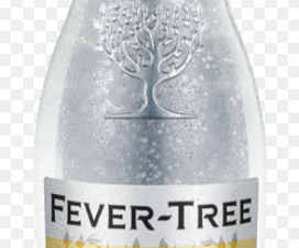 Fever Tree Tonic Water 4PK