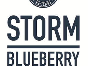 Newport Storm Blueberry 4PK